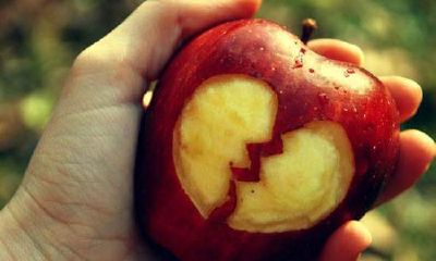 女狗与男龙合不合？属龙男的婚姻观是什么样的？