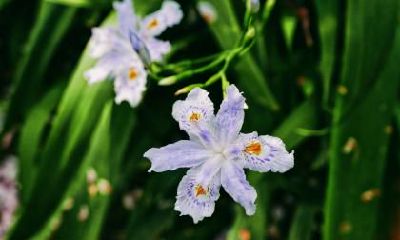 2020年十月初八小雪节气这天的日子如何？是装修动土的吉日吗？