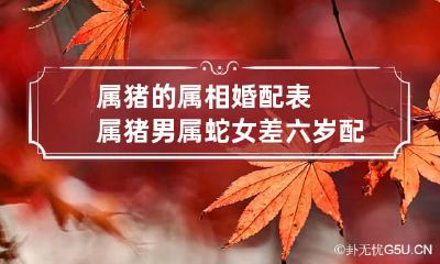 属猪的属相婚配表 属猪男属蛇女差六岁配婚姻好不好