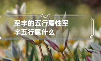 军字的五行属性 军字五行属什么
