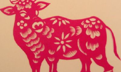 四月出生的属牛人命运好吗?