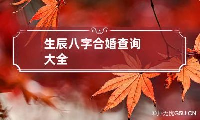 生辰八字合婚查询大全