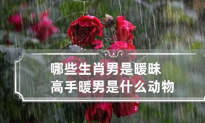 哪些生肖男是暖昧高手 暖男是什么动物