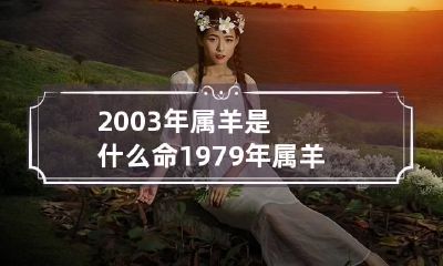 2003年属羊是什么命 1979年属羊是什么命
