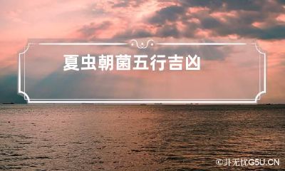 夏虫朝菌五行吉凶