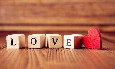 男狗女兔合不合？属兔女的脾气是什么样的？