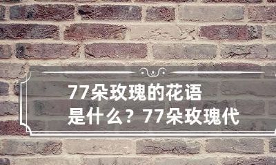 77朵玫瑰的花语是什么？77朵玫瑰代表什么意思？