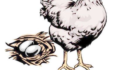 属鸡人2020年破太岁佩戴什么开运吉祥物