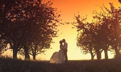 女狗男虎的婚姻怎么样？属虎男有哪些优点？