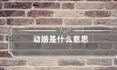 动婚是什么意思