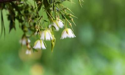 霜降如何养生？霜降节气吃什么比较合适？