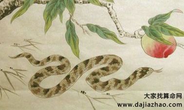 1989年属蛇的人2020年运势