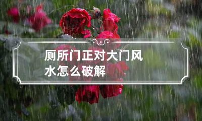 厕所门正对大门风水怎么破解