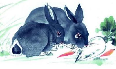 1987年属兔的人2020年运势