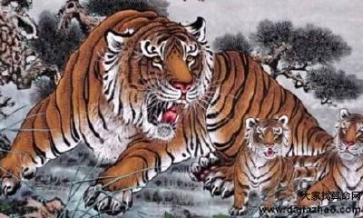 1974年属虎的人2020年运势