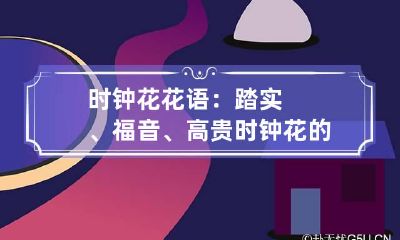 时钟花花语：踏实、福音、高贵 时钟花的花期