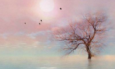 男狗女虎婚配好吗？属虎女的性格是什么样的？