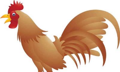 1993年属鸡的人2019年运程