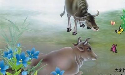 1997年属牛的人2020年运势