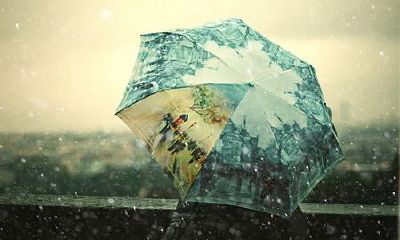 男属狗女属牛结婚好吗？属牛女婚后会有什么好的改变？