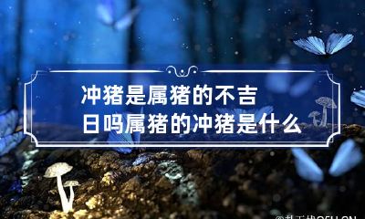 冲猪是属猪的不吉日吗 属猪的冲猪是什么意思