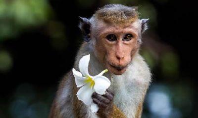 1992年属猴的人2019年运程