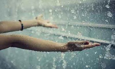 属狗女和属牛男的婚姻如何？属牛男理想的婚姻是什么样的？