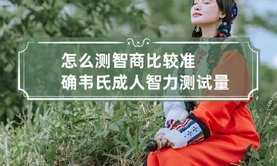 怎么测智商比较准确 韦氏成人智力测试量表
