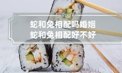 蛇和兔相配吗婚姻 蛇和兔相配好不好