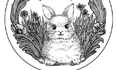 属兔2019年运势及运程 属兔人2019年全年运势