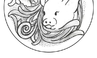 属猪2019年运势及运程 属猪人2019年本命年运势