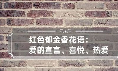红色郁金香花语：爱的宣言、喜悦、热爱