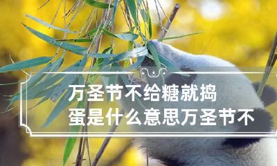 万圣节不给糖就捣蛋是什么意思 万圣节不给糖就捣蛋怎么回应?