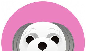 属狗人2018年运势大全及破解