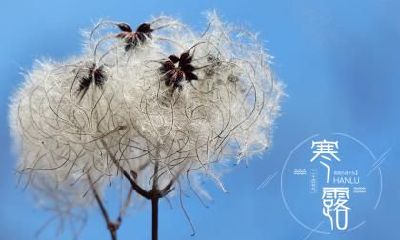 2020年10月8日寒露可不可以出行？日子卦象吉凶？