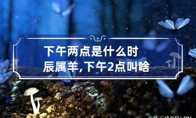 下午两点是什么时辰属羊,下午2点叫啥时辰