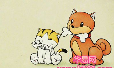 属狗男生和属猪女生配对