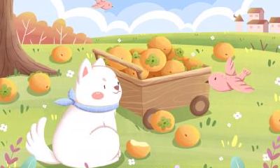 2020年霜降是冬天还是秋天？2020年霜降是吉日吗？