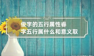 俊字的五行属性 睿字五行属什么和意义取名