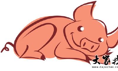 属猪2018年运势及运程 属猪人2018年全年运势