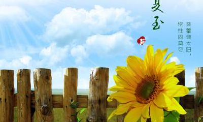 春风节气的这些有趣的风俗习惯你知道吗？春分节气的谚语推荐