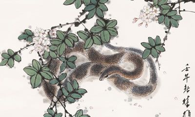 属蛇2018年运势及运程 属蛇人2018年全年运势