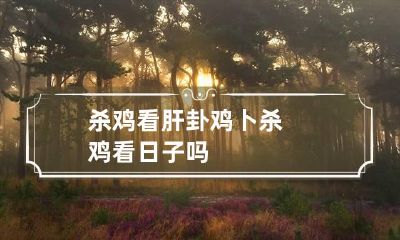 杀鸡看肝卦鸡卜 杀鸡看日子吗