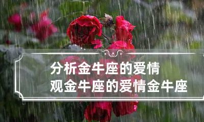 分析金牛座的爱情观 金牛座的爱情 金牛座的爱情观