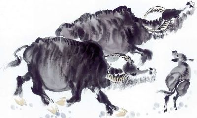 属牛2018年运势及运程 属牛人2018年全年运势