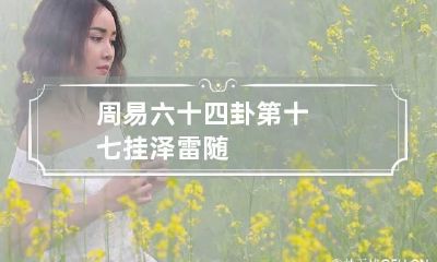 周易六十四卦第十七挂 泽雷随