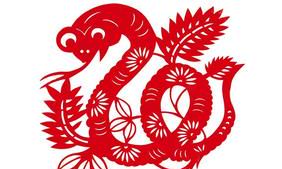 属蛇的人2016年运程_属蛇人2016年每月运势