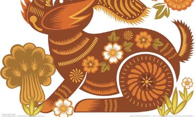 属兔的人2016年运程_属兔人2016年每月运势