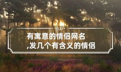 有寓意的情侣网名,发几个有含义的情侣网名