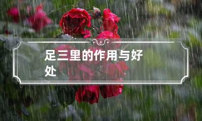 足三里的作用与好处